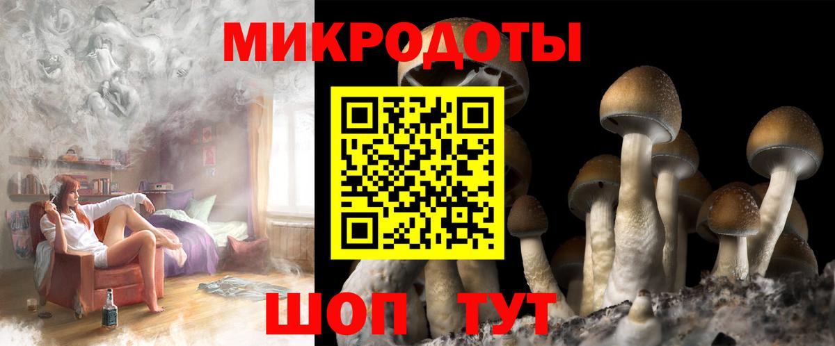 Псилоцибиновые грибы GOLDEN TEACHER  Вход с VPN  Арсеньев 
